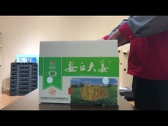 جعبه سبزیجات چوبی پوکی PP