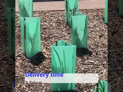 محافظ درختان پلاستیکی