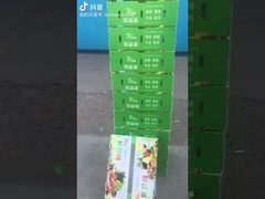 جعبه میوه و سبزیجات