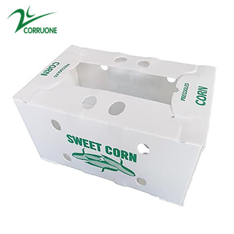 جعبه میوه Correx جعبه پلاستیکی لوله دار PP برای سبزیجات و کشاورزی جعبه بسته بندی