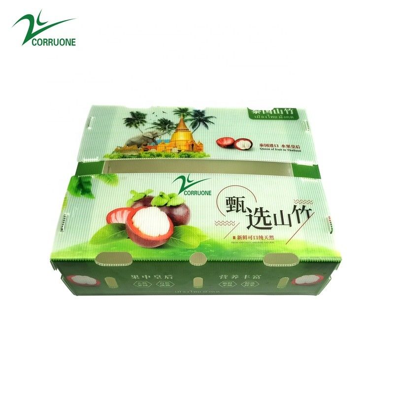 سفارشی سازی جعبه پلاستیکی لوله دار سازگار با محیط زیست برای بروکلی و ذرت جعبه Correx ذرت بروکلی و کشاورزی بسته بندی