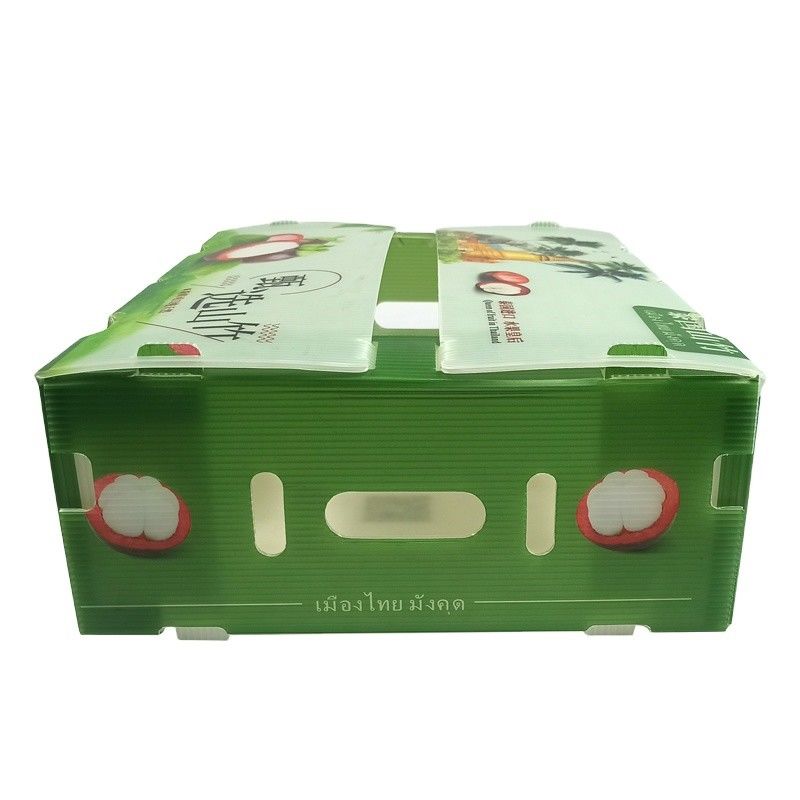 Corflute Correx ذرت بروکلی و کشاورزی بسته بندی ضد آب مقاوم در برابر خوردگی و ضد شعله