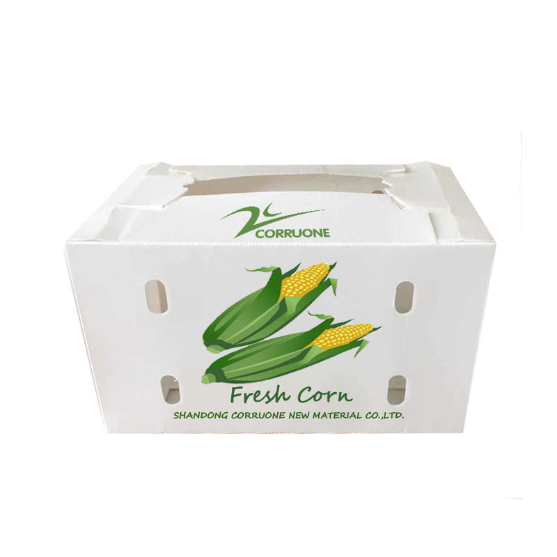 جعبه های بسته بندی پلاستیکی راه راه PP 1.5-30 میلی متری سفید سبز آبی