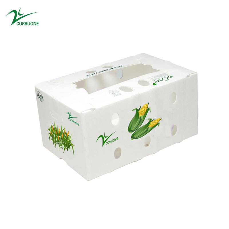 جعبه های بسته بندی پلاستیکی راه راه PP 1.5-30 میلی متری سفید سبز آبی