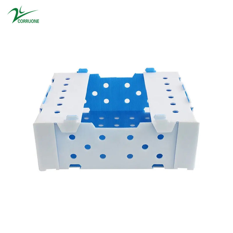 جعبه های بسته بندی پلاستیکی راه راه PP 1.5-30 میلی متری سفید سبز آبی