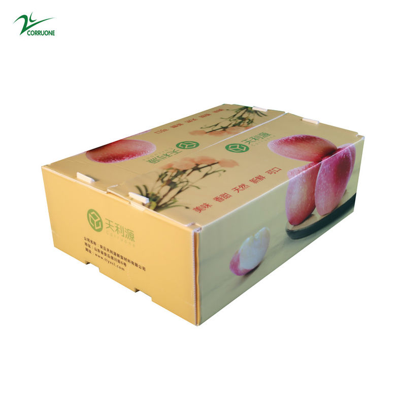 جعبه راه راه Twinwall PP Food Grade Corflute Container for Fruits Pegetables