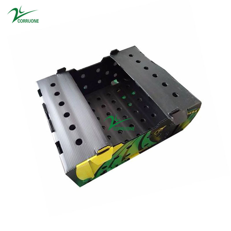 جعبه پلاستیکی لوله دار PP برای سبزیجات و میوه ها جعبه Corflute correx ذرت بروکلی و کشاورزی جعبه بسته بندی