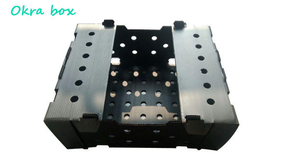 جعبه پلاستیکی لوله دار PP برای سبزیجات و میوه ها جعبه Corflute correx ذرت بروکلی و کشاورزی جعبه بسته بندی