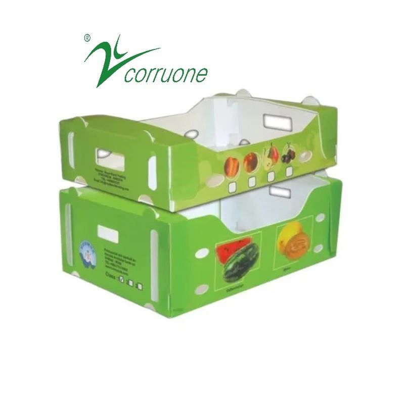 جعبه پلاستیکی corruone PP polypropylene danpla جعبه پلاستیکی محافظ Correx تابلو های پلی فلوت جعبه های بسته بندی پلاستیکی موج دار