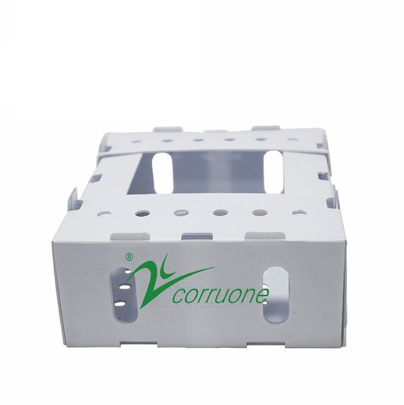 جعبه پلاستیکی corruone PP polypropylene danpla جعبه پلاستیکی محافظ Correx تابلو های پلی فلوت جعبه های بسته بندی پلاستیکی موج دار