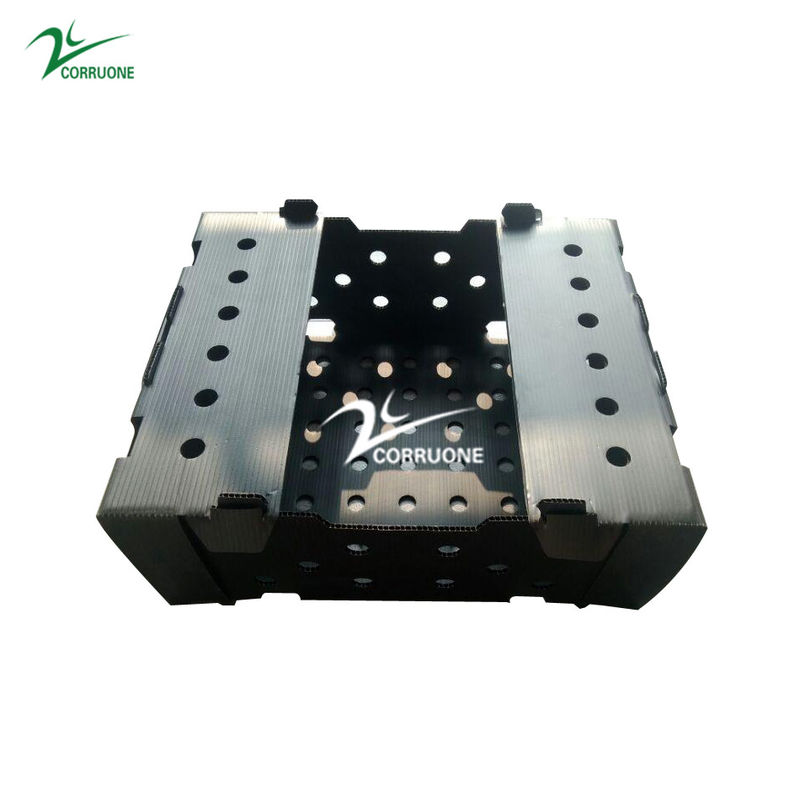 جعبه های متحرک پلاستیکی موجدار Danpla Corriboard برای خوراک غذاهای دریایی