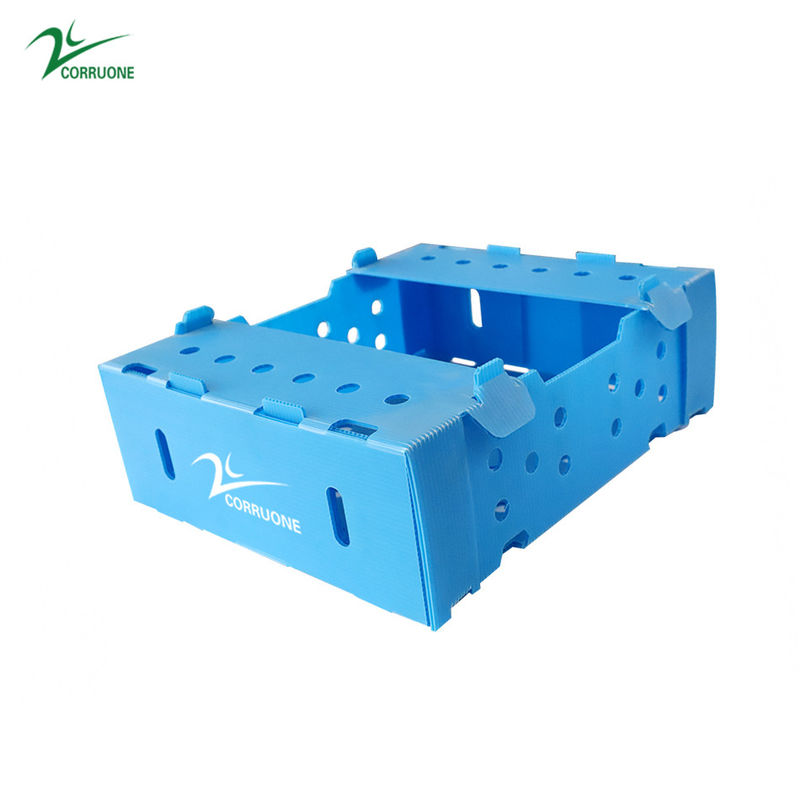 جعبه های متحرک پلاستیکی موجدار Danpla Corriboard برای خوراک غذاهای دریایی