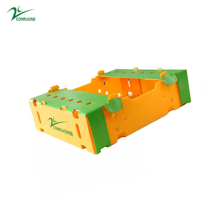 جعبه های متحرک پلاستیکی موجدار Danpla Corriboard برای خوراک غذاهای دریایی