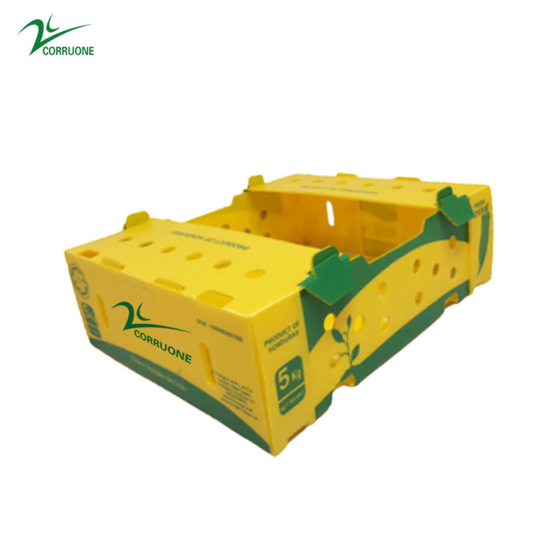 جعبه های متحرک پلاستیکی موجدار Danpla Corriboard برای خوراک غذاهای دریایی