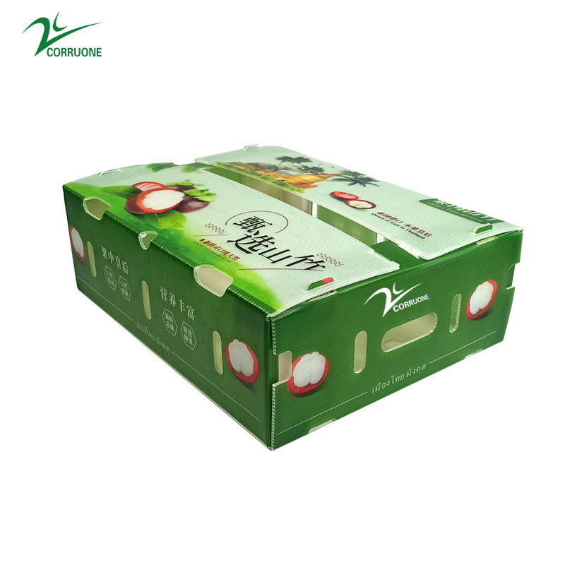 جعبه پلاستیکی گره دار PP برای سبزیجات و میوه ها جعبه Corflute correx ذرت بروکلی و کشاورزی جعبه های بسته بندی