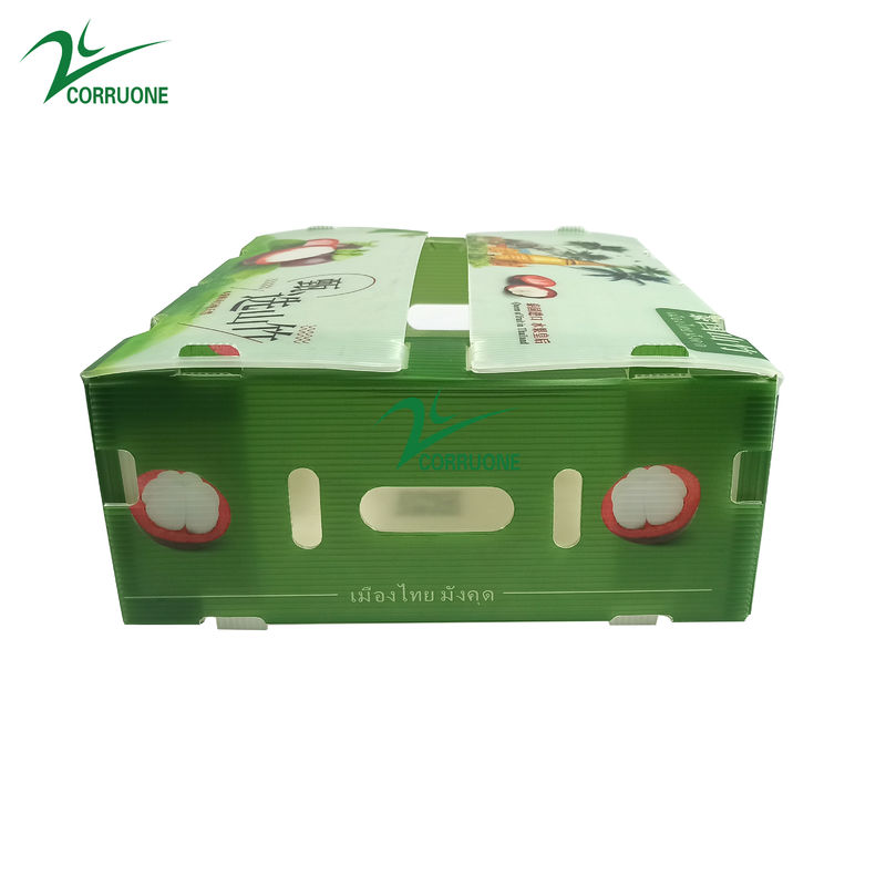 جعبه پلاستیکی گره دار PP برای سبزیجات و میوه ها جعبه Corflute correx ذرت بروکلی و کشاورزی جعبه های بسته بندی