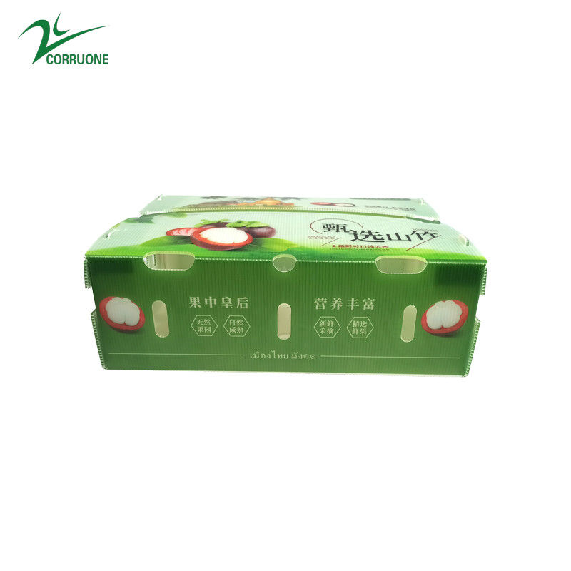 جعبه پلاستیکی گره دار PP برای سبزیجات و میوه ها جعبه Corflute correx ذرت بروکلی و کشاورزی جعبه های بسته بندی