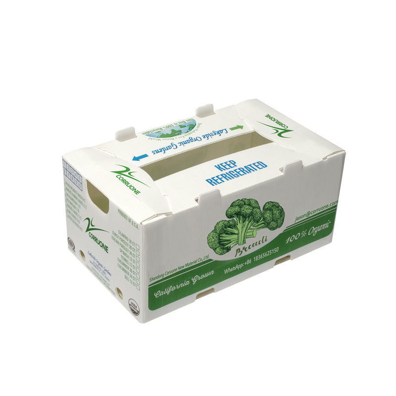OEM کارخانه تولید PP پلاستیک لوله کش جعبه برای تازه ذرت شیرین بروکلی تخم مرغ زنجبیل جعبه